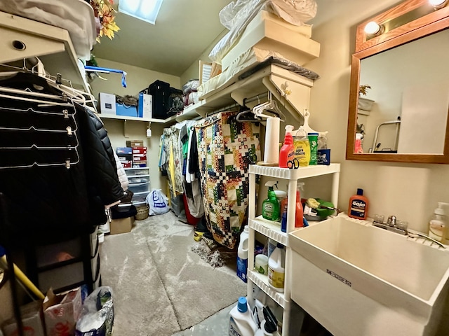 173 N Addison St, Alpena, MI 49707 - walk in closet featuring a sink