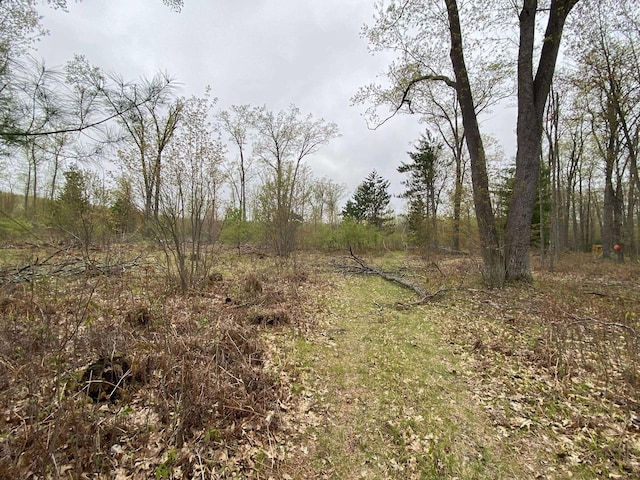 5626 Smith Rd, Lewiston, MI 49756 - view of local wilderness