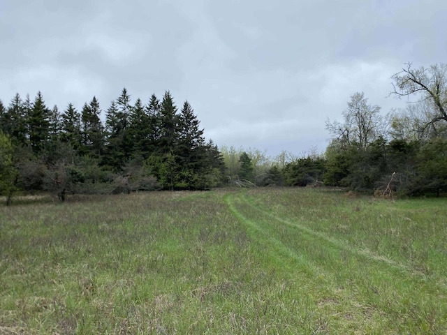 5626 Smith Rd, Lewiston, MI 49756 - view of yard with a view of trees