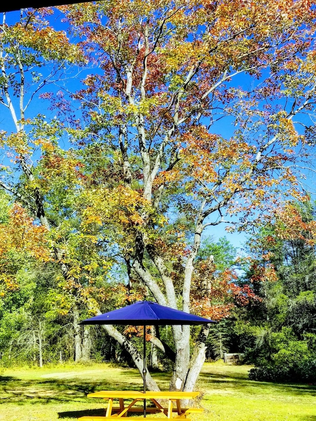 468 Pine Oak Trl, Grayling, MI 49738 - view of property's community with a lawn