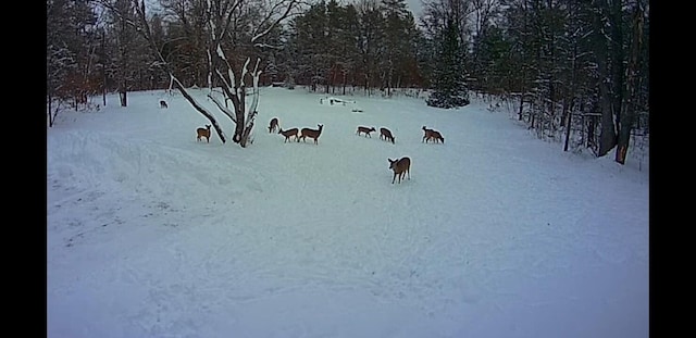 468 Pine Oak Trl, Grayling, MI 49738 - view of yard covered in snow