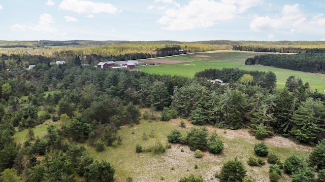 Airport Rd, Vanderbilt, MI 49795