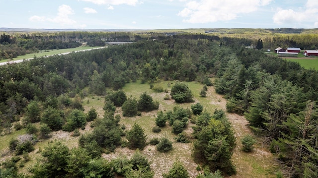 Airport Rd, Vanderbilt, MI 49795