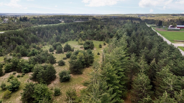 Airport Rd, Vanderbilt, MI 49795
