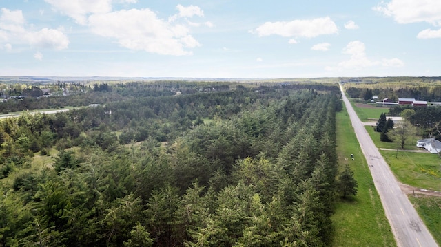 Airport Rd, Vanderbilt, MI 49795