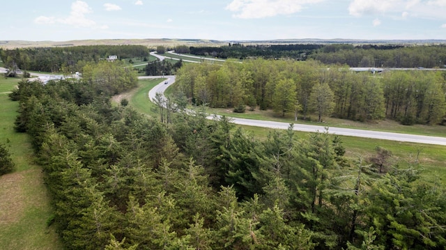 Airport Rd, Vanderbilt, MI 49795