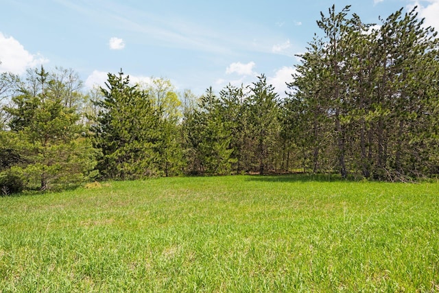 Airport Rd, Vanderbilt, MI 49795