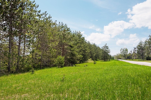 Airport Rd, Vanderbilt, MI 49795