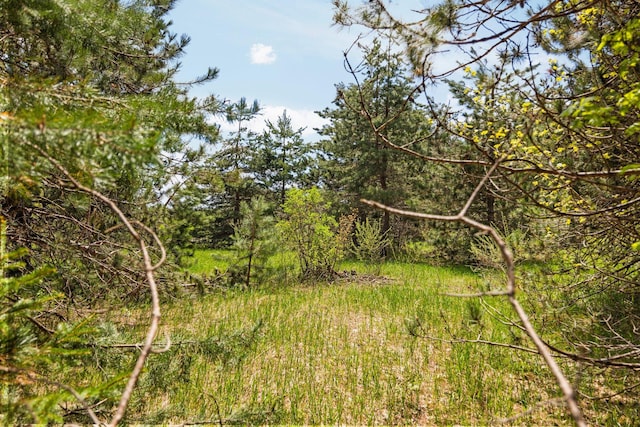 Airport Rd, Vanderbilt, MI 49795