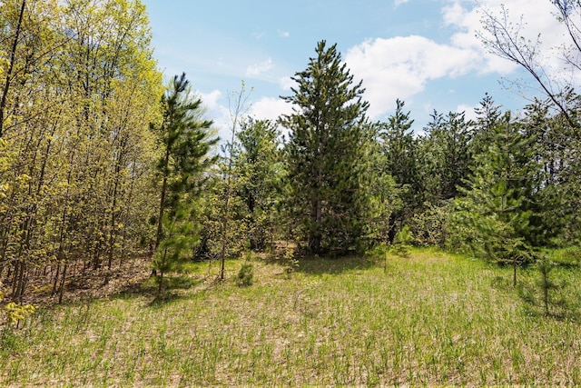 Airport Rd, Vanderbilt, MI 49795