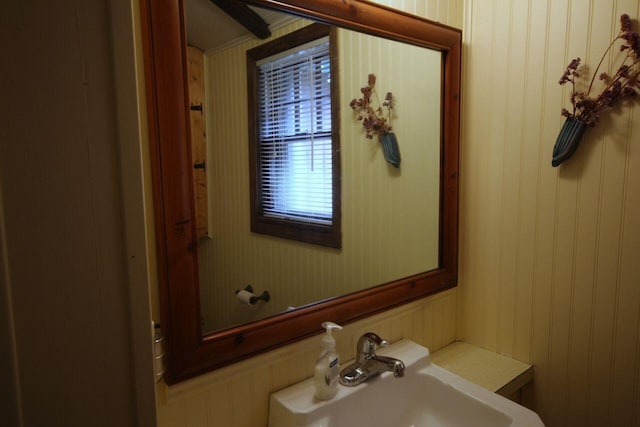 110 Mulberry Ln, Roscommon, MI 48653 - half bathroom featuring a sink and wooden walls