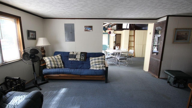 110 Mulberry Ln, Roscommon, MI 48653 - carpeted living area with electric panel, a textured ceiling, healthy amount of natural light, and crown molding