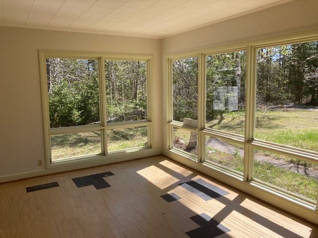 19204 Marlin Ln, Ocqueoc, MI 49759 - unfurnished sunroom with healthy amount of natural light and wood finished floors