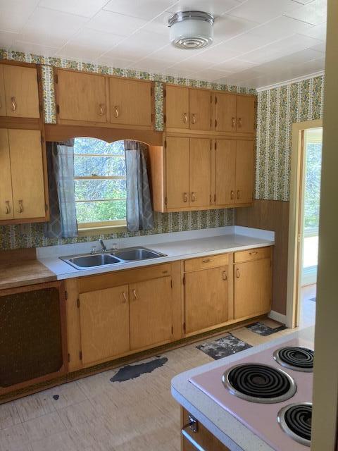 19204 Marlin Ln, Ocqueoc, MI 49759 - kitchen with a sink, wallpapered walls, light countertops, and stove