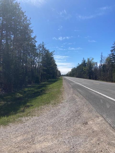 19204 Marlin Ln, Ocqueoc, MI 49759 - view of asphalt street