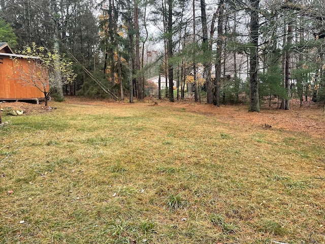 4247 Racoon Trl, Lincoln, MI 48742 - view of grassy yard
