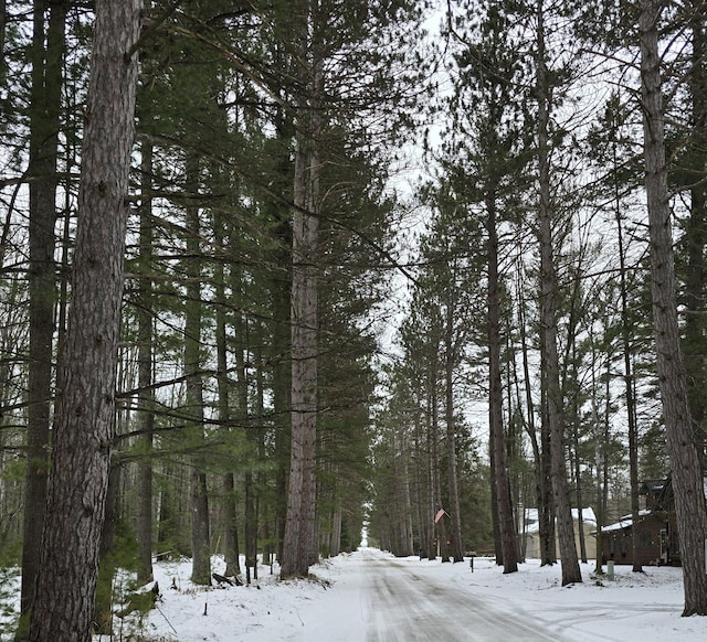 4247 Racoon Trl, Lincoln, MI 48742 - snowy landscape featuring a wooded view