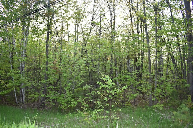 14236 Straitsview Dr, Cheboygan, MI 49721