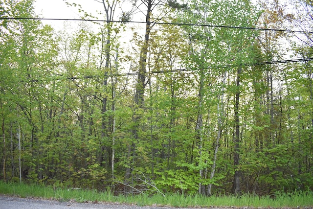 14236 Straitsview Dr, Cheboygan, MI 49721