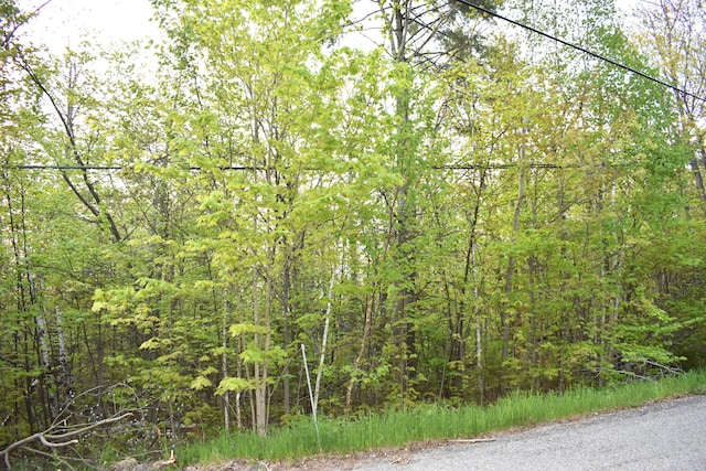 14236 Straitsview Dr, Cheboygan, MI 49721