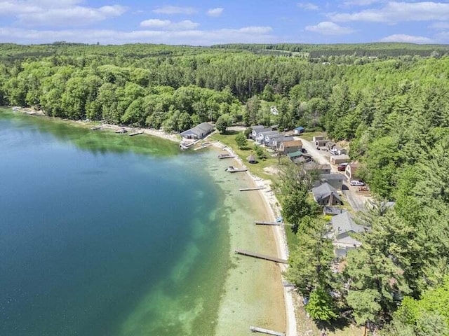13042 Silver Lake Resort Rd, Wolverine, MI 49799 - aerial view of property and surrounding area featuring a heavily wooded area and a nearby body of water