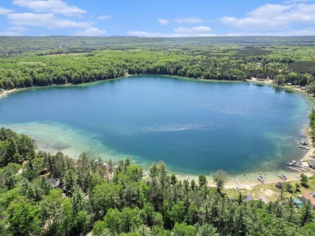 13042 Silver Lake Resort Rd, Wolverine, MI 49799 - aerial view of a heavily wooded area and a large body of water