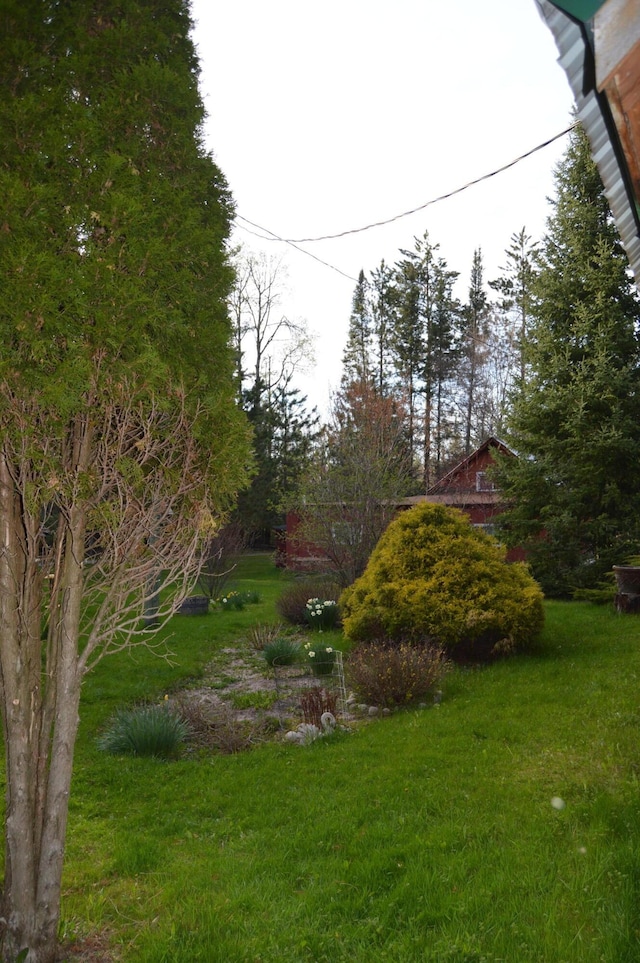 4163 Hanson Rd, Lewiston, MI 49756 - view of grassy yard