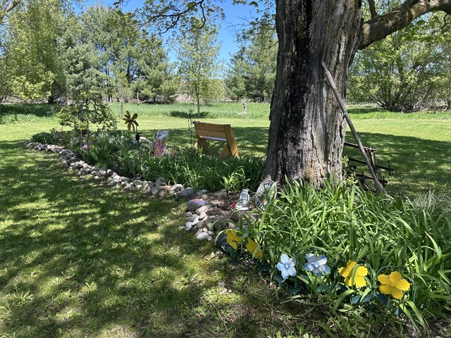 676 N Poor Farm Rd, Harrisville, MI 48740 - view of green lawn