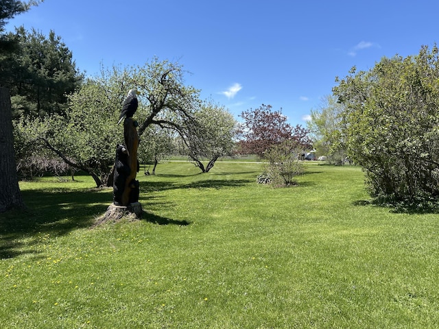 676 N Poor Farm Rd, Harrisville, MI 48740 - view of grassy yard