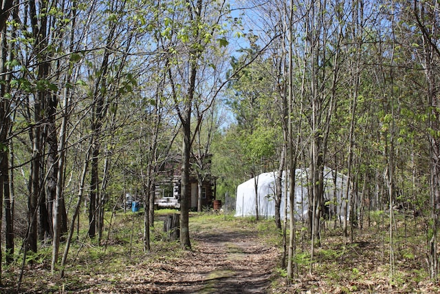 N Weaver Rd, Comins, MI 48619