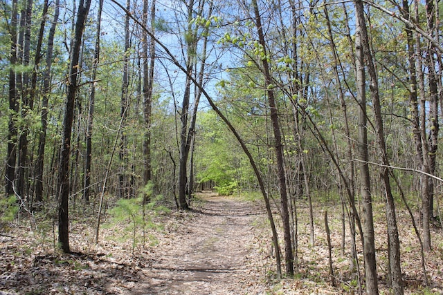 N Weaver Rd, Comins, MI 48619