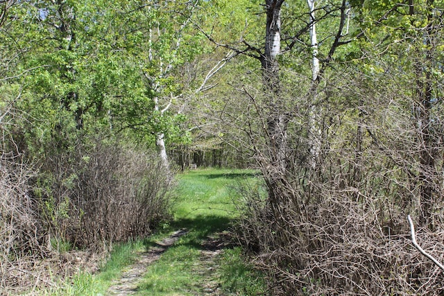 N Weaver Rd, Comins, MI 48619
