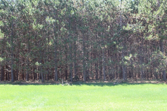 N Weaver Rd, Comins, MI 48619