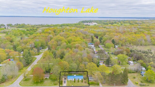 299 Cloverleaf Ln, Houghton Lake, MI 48629 - photo 5