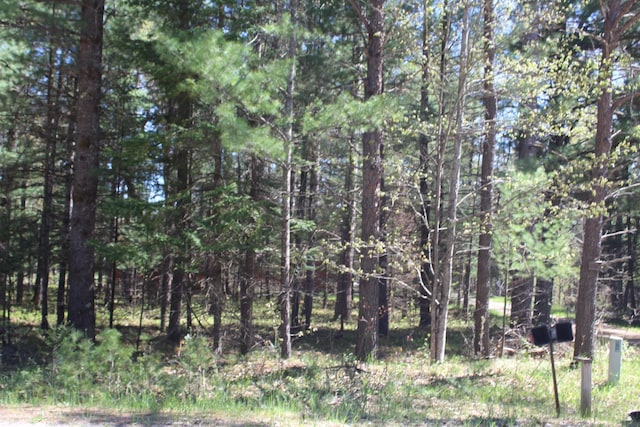 3945 W Cherry Creek Rd, Mio, MI 48647