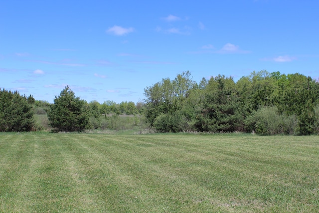 3071 Garling Rd, Fairview, MI 48621 - view of grassy yard featuring a forest view