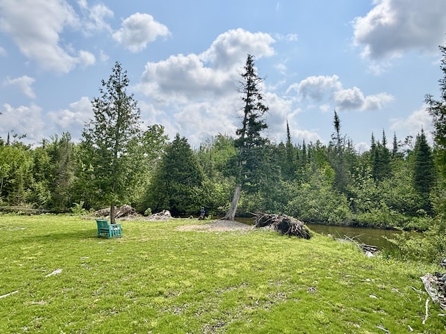 13415 M-32, Atlanta, MI 49709 - photo 13