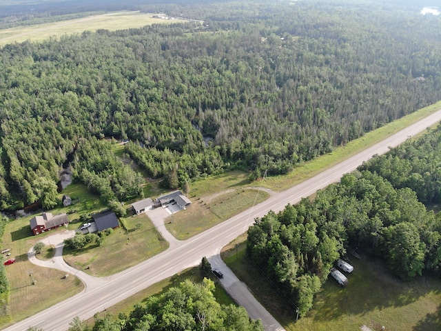 13415 M-32, Atlanta, MI 49709 - photo 69