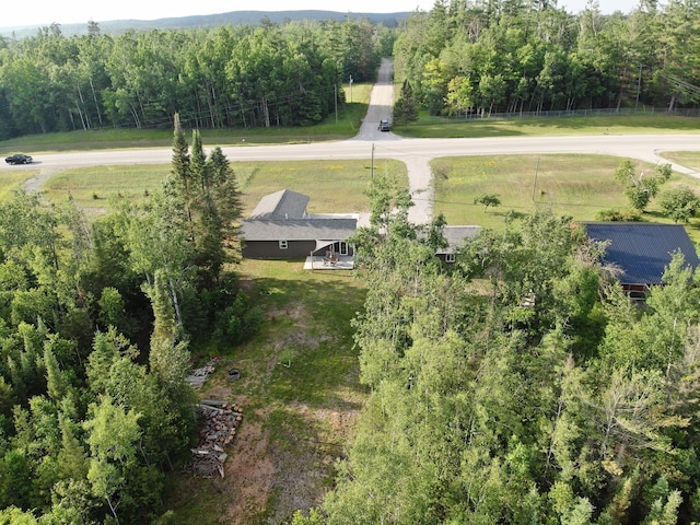 13415 M-32, Atlanta, MI 49709 - photo 71