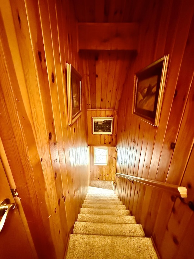 19110 Red Pine Dr, Hillman, MI 49746 - staircase with wooden walls