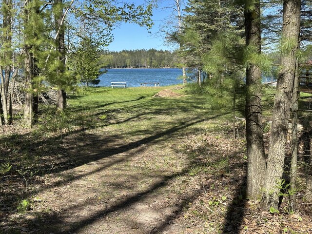 19110 Red Pine Dr, Hillman, MI 49746 - water view featuring a heavily wooded area