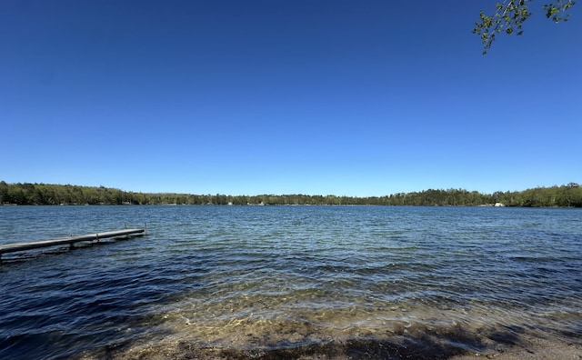 19110 Red Pine Dr, Hillman, MI 49746 - dock with a water view