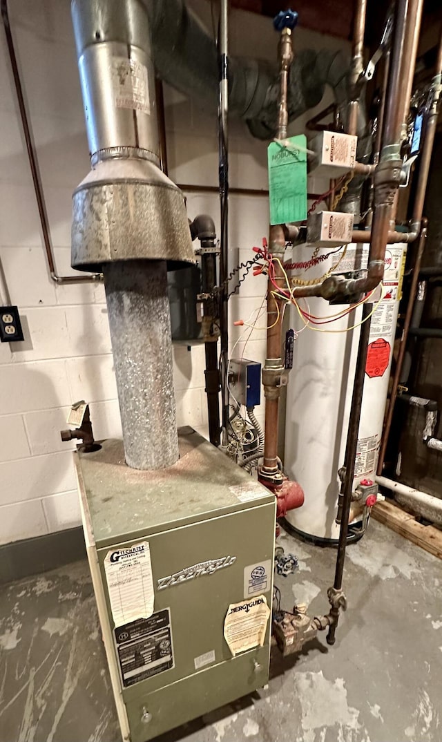 19110 Red Pine Dr, Hillman, MI 49746 - utility room with gas water heater