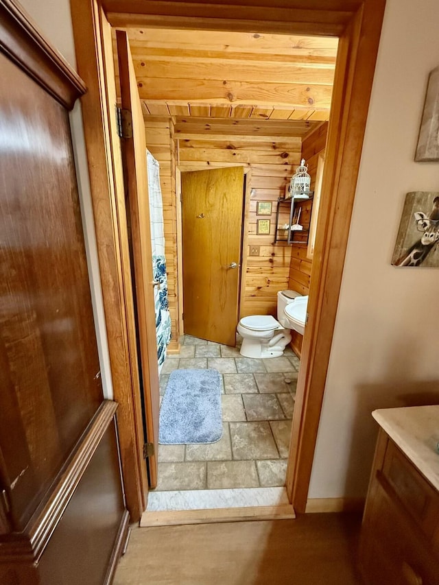 19110 Red Pine Dr, Hillman, MI 49746 - bathroom with stone tile flooring, toilet, wood walls, vanity, and baseboards
