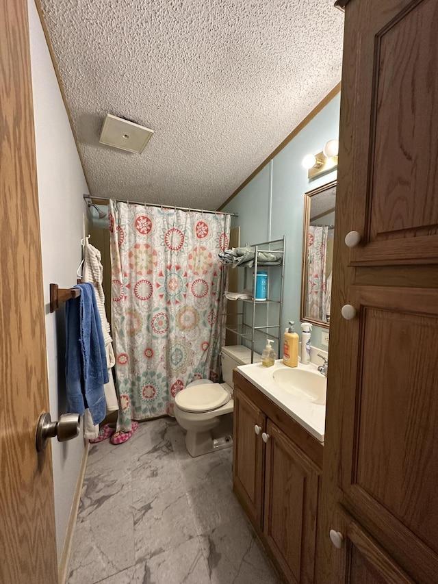 3469 Long Rapids Rd, Alpena, MI 49707 - full bath featuring a textured ceiling, toilet, vanity, and a shower with shower curtain