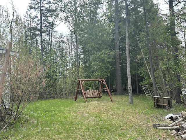 3469 Long Rapids Rd, Alpena, MI 49707 - view of yard