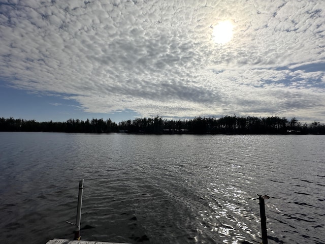 3469 Long Rapids Rd, Alpena, MI 49707 - dock area featuring a water view