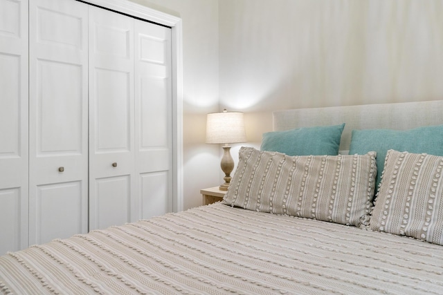 11882 Davis Creek Dr, Wolverine, MI 49799 - bedroom with a closet