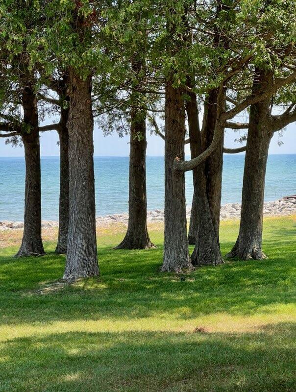 1253 N Partridge Point Rd, Alpena, MI 49707 - water view