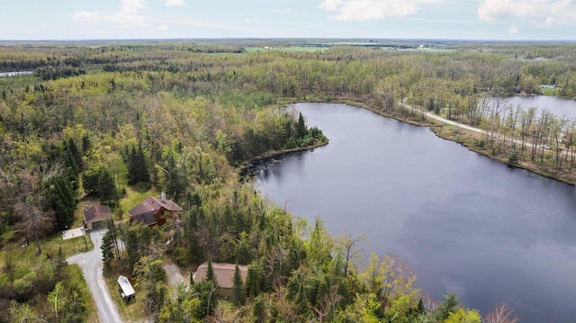 14250 Chippewa Trl, Johannesburg, MI 49751 - aerial view of a heavily wooded area and a nearby body of water